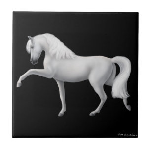 Spaans stapel voor Andalusië Tegeltje