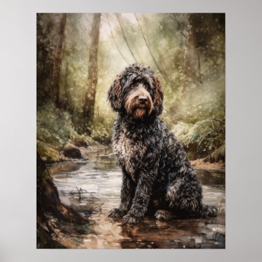 Spaans Water Dog Art Print Poster (Voorkant)