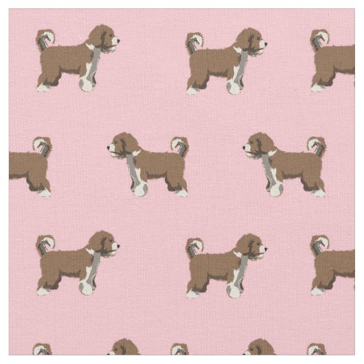 Spaans water Dog roze hond Stof (Close Up)
