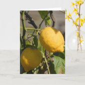 Spaans Wenskaart Kaart (Gele Bloem)