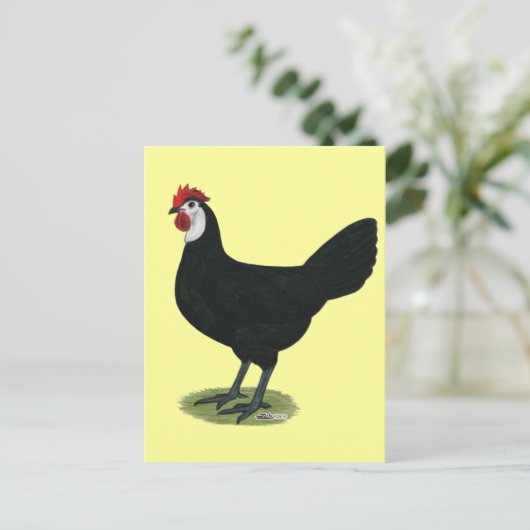 Spaans: Witte hond Briefkaart (Staand voorkant)