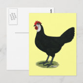 Spaans:  Witte hond Briefkaart (Voorkant / Achterkant)