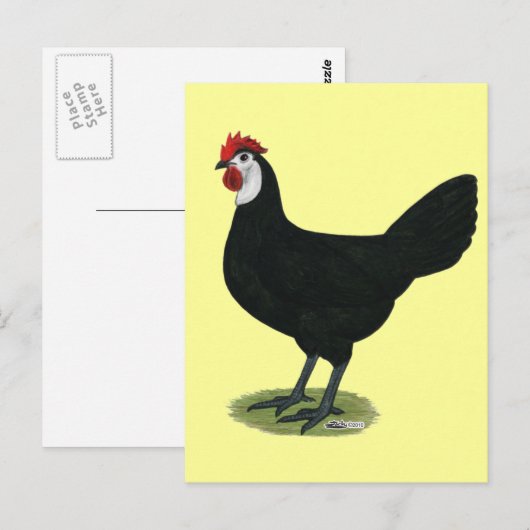 Spaans:  Witte hond Briefkaart (Voorkant / Achterkant)