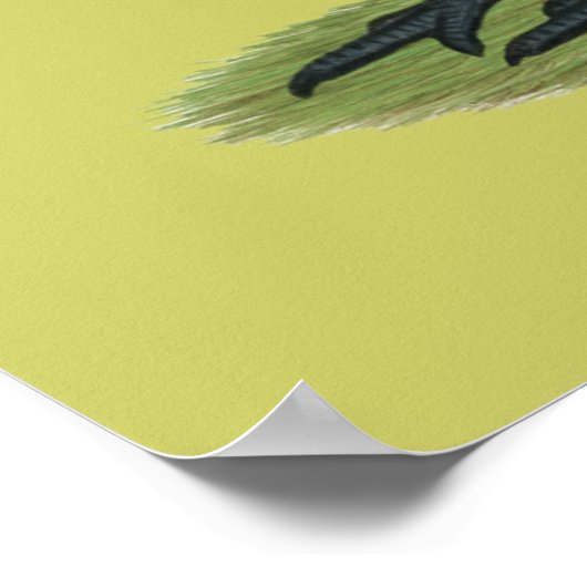 Spaans: witte hond poster (Hoek)