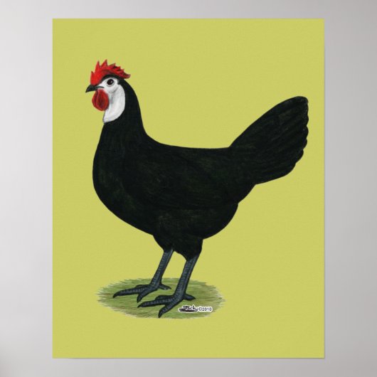 Spaans: witte hond poster (Voorkant)