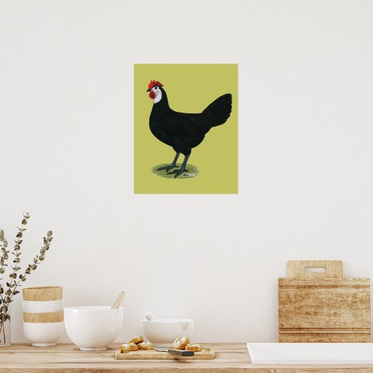 Spaans: witte hond poster (Keuken)