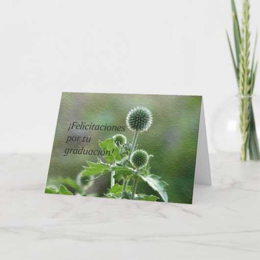 Spaanse Afstuderen Kaart (Voorkant)
