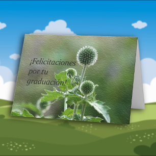 Spaanse Afstuderen Kaart
