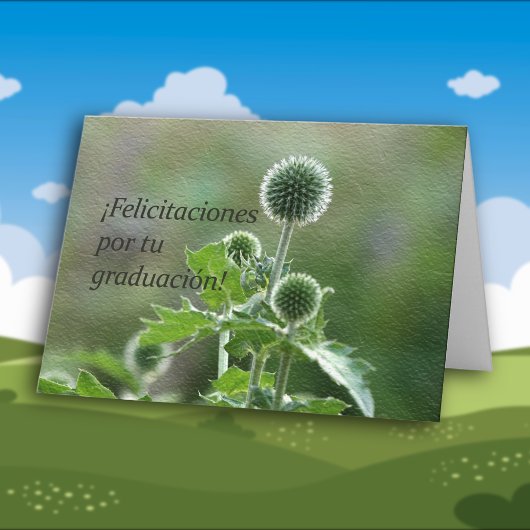 Spaanse Afstuderen Kaart