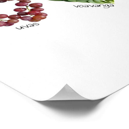 Spaanse Alfabet Fruit en Groenten Mexico Poster (Hoek)