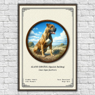 Spaanse Bulldog (Alano Español) Zoologie Serie Poster