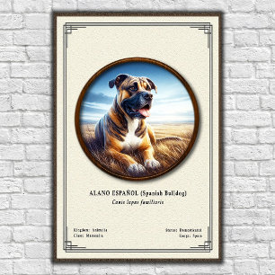 Spaanse Bulldog (Alano Español) Zoölogie Serie Poster