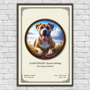 Spaanse Bulldog (Alano Español) Zoologie Serie Poster