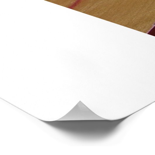 Spaanse Bullgevecht Poster (Hoek)