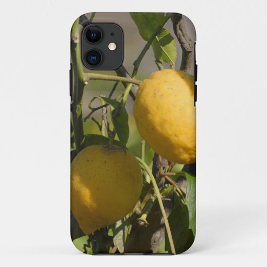 Spaanse Citroen Afbeeldingen Case-Mate iPhone Case (Achterkant)