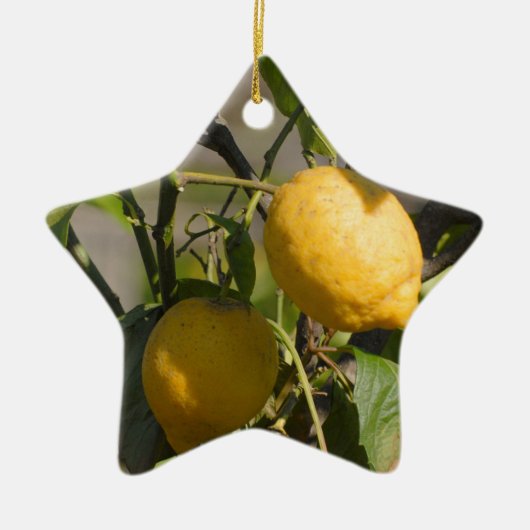 Spaanse Citroen Afbeeldingen Keramisch Ornament (Voorkant)
