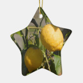 Spaanse Citroen Afbeeldingen Keramisch Ornament (Links)