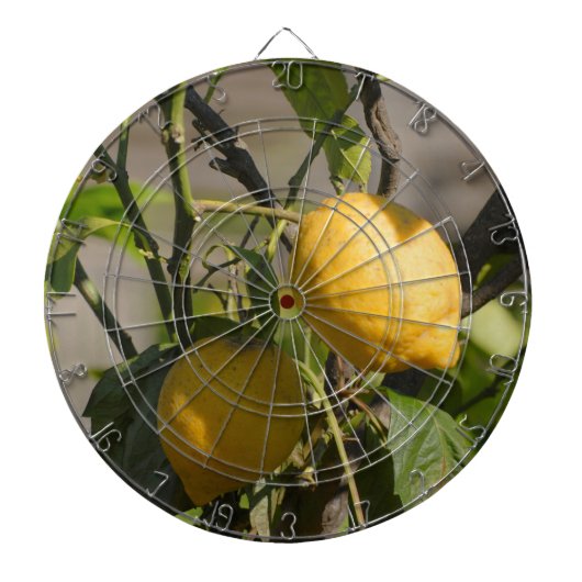 Spaanse Citroen Graphics Dartbord (Voorkant)