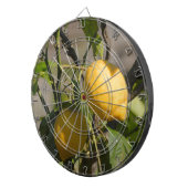 Spaanse Citroen Graphics Dartbord (Voorkant Rechts)