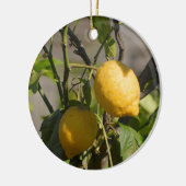 Spaanse Citroen Graphics Keramisch Ornament (Links)