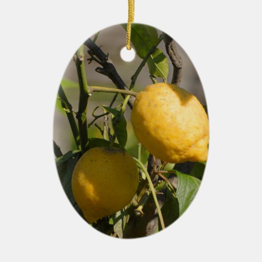 Spaanse Citroen Graphics Keramisch Ornament (Voorkant)