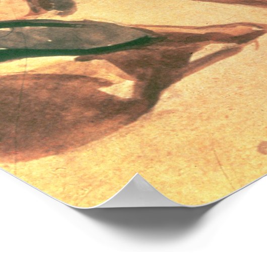 Spaanse dansers, 1862 poster (Hoek)