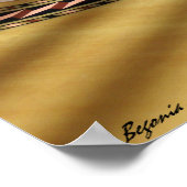 Spaanse gitaar 02 poster (Hoek)