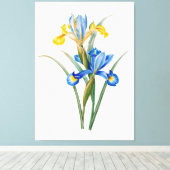 Spaanse iris door Pierre-Joseph Redouté Canvas Afdruk (Insitu (Houten vloer))