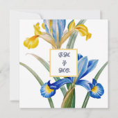 Spaanse iris door Pierre-Joseph Redouté Kaart (Achterkant)