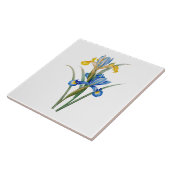 Spaanse iris door Pierre-Joseph Redouté Tegeltje (Zijkant)