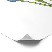 Spaanse iris (Iris xiphium) van Redouté Poster (Hoek)