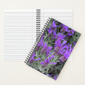 Spaanse lavendel bloeit bloemig notitieboek (Binnen)