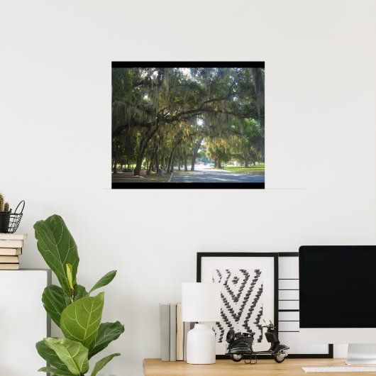 Spaanse moss in Georgië Poster (Thuiskantoor)