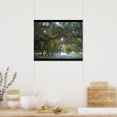 Spaanse moss in Georgië Poster (Keuken)