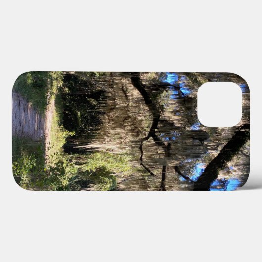 Spaanse Moss iPhone hoesjes (Achterkant (horizontaal))