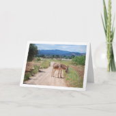 Spaanse Muilezel op Landweg Kaart (Voorkant)