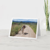 Spaanse Muilezel op Landweg Kaart (Voorkant)