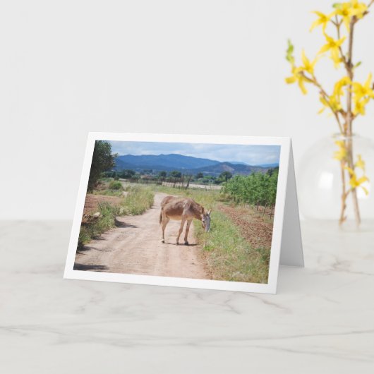 Spaanse muilezel op landweg kaart (Gele Bloem)