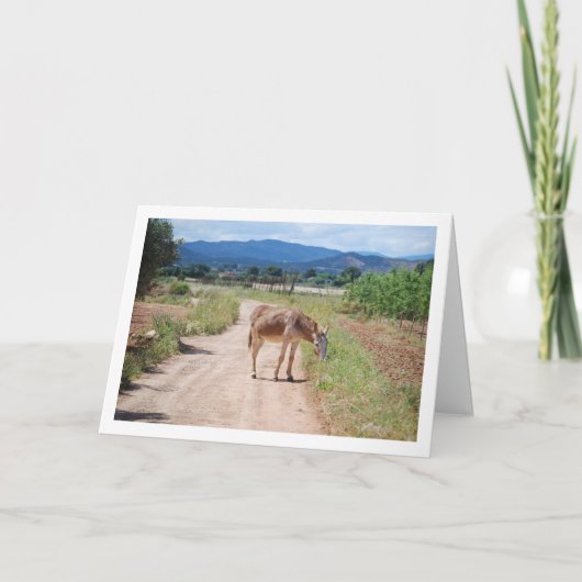 Spaanse muilezel op landweg kaart (Voorkant)