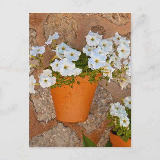 Spaanse Muur Briefkaart (Voorkant)