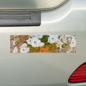 Spaanse Muur Bumpersticker (Op auto)