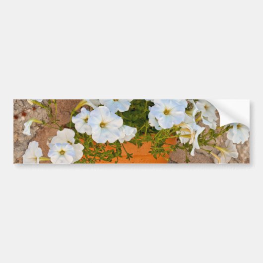 Spaanse Muur Bumpersticker (Voorkant)