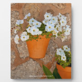 Spaanse muur Plaque Fotoplaat (Voorkant)