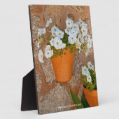 Spaanse muur Plaque Fotoplaat (Zijkant)