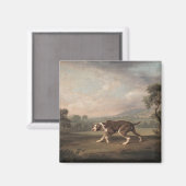Spaanse Pointer (door George Stubbs) Magneet (Voorkant / Achterkant)