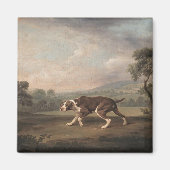 Spaanse Pointer (door George Stubbs) Magneet (Voorkant)