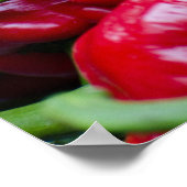 Spaanse rode paprika poster (Hoek)