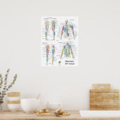 Spaanse spier anatomie chart poster (Keuken)