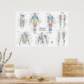 Spaanse spier anatomie chart poster (Keuken)