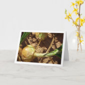 Spaanse uien in het veld, voedselfotografie kaart (Gele Bloem)